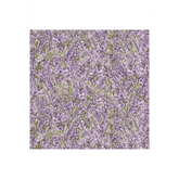 Lavender Garden Lavender - 9873-56